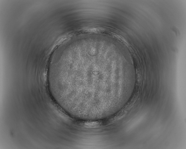 X0000112760357200909101535