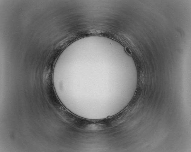 X0000112760364200909101535