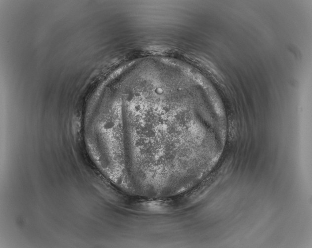 X0000112760365200909101535