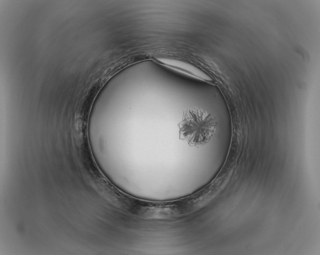 X0000112760366200909101535