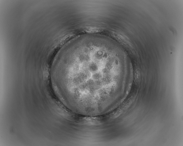 X0000112760367200909101535