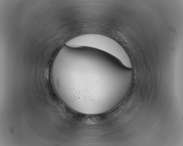 X0000112760368200909101535