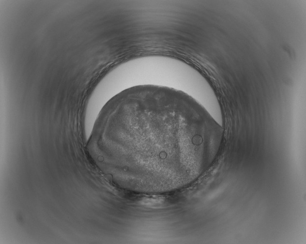 X0000112760369200909101535