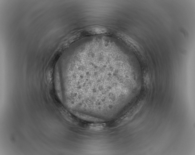 X0000112760373200909101535