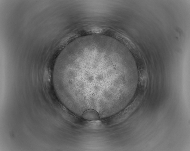 X0000112760374200909101535