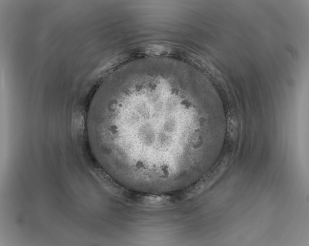 X0000112760375200909101535