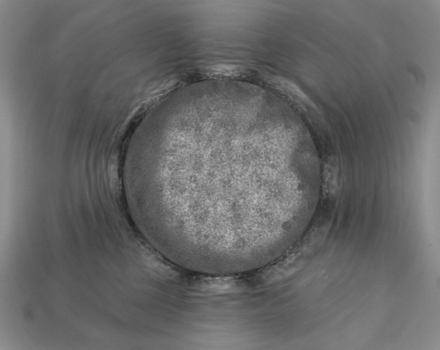 X0000112760377200909101535