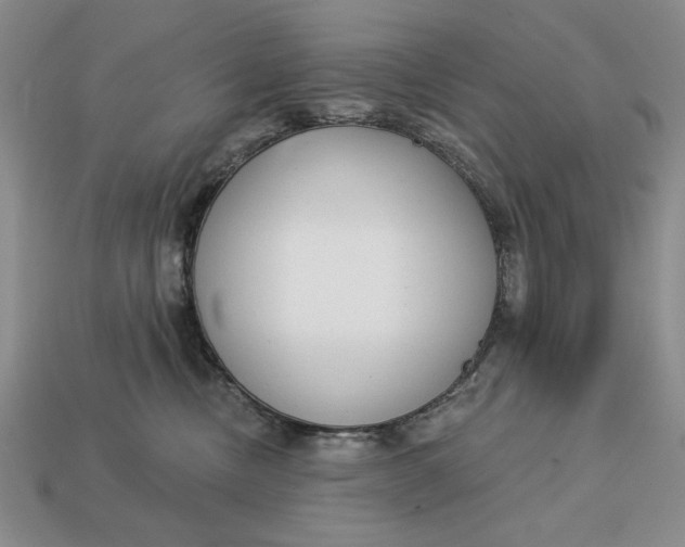 X0000112760378200909101535