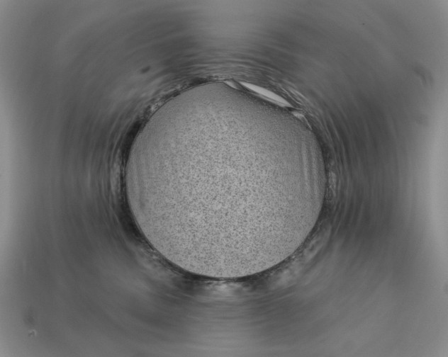 X0000112760379200909101535