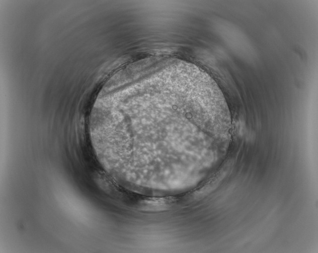 X0000112760381200909101535