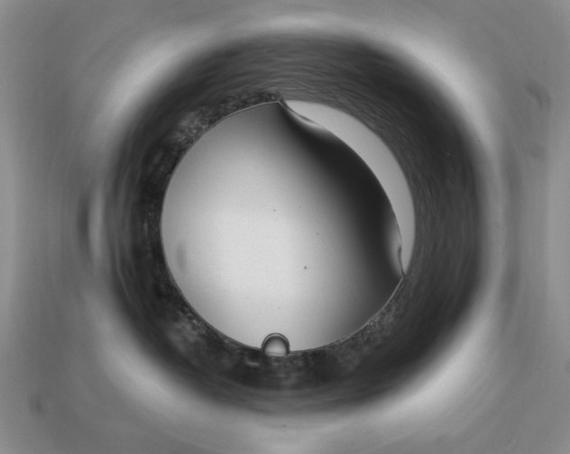 X0000112760382200909101535