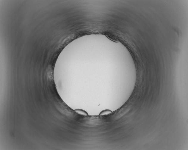 X0000112760384200909101535