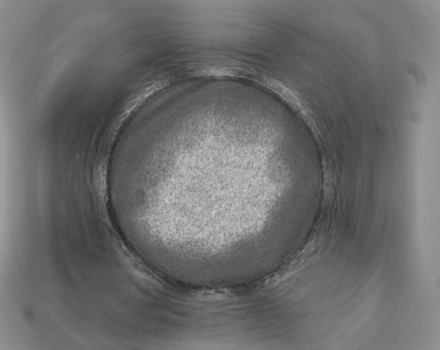X0000112760386200909101534