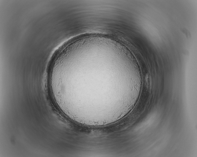 X0000112760388200909101534