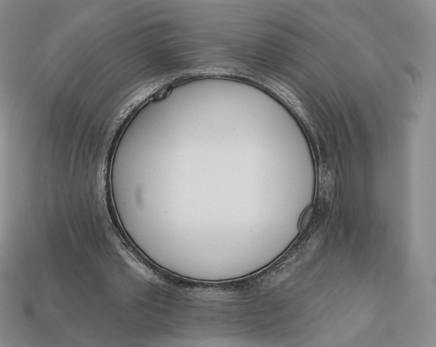 X0000112760389200909101534