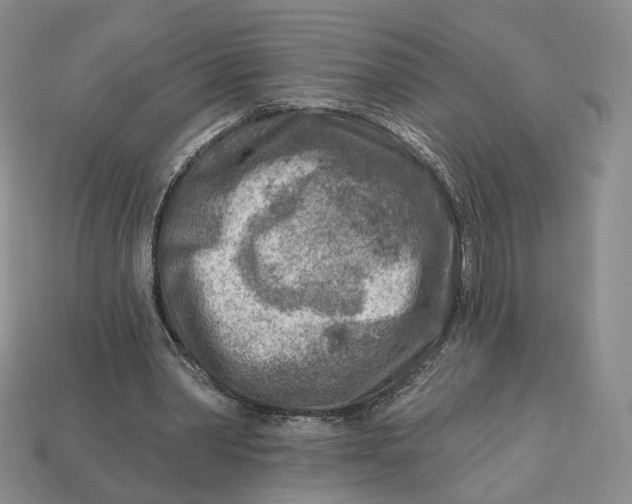 X0000112760390200909101534