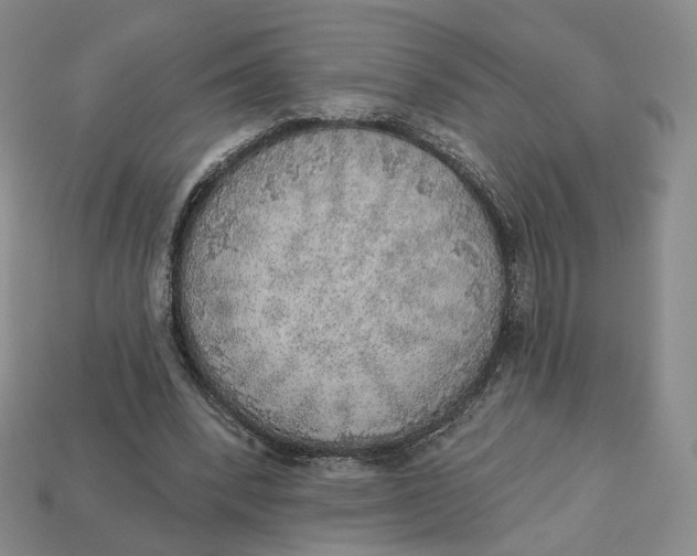 X0000112760392200909101534