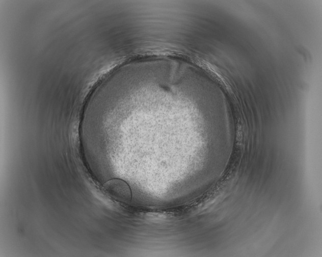 X0000112760394200909101534