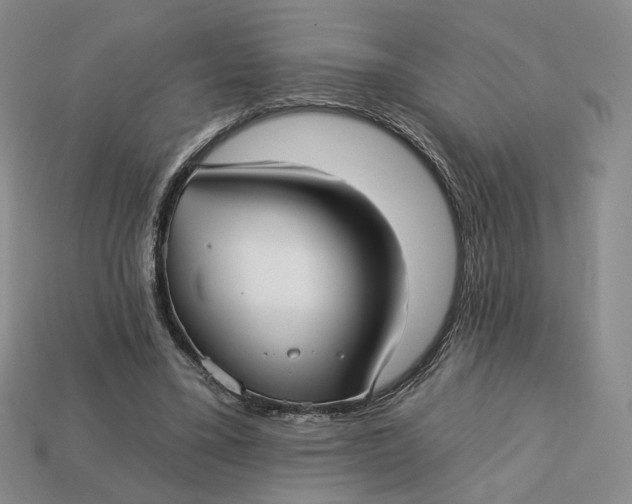 X0000112760395200909101534