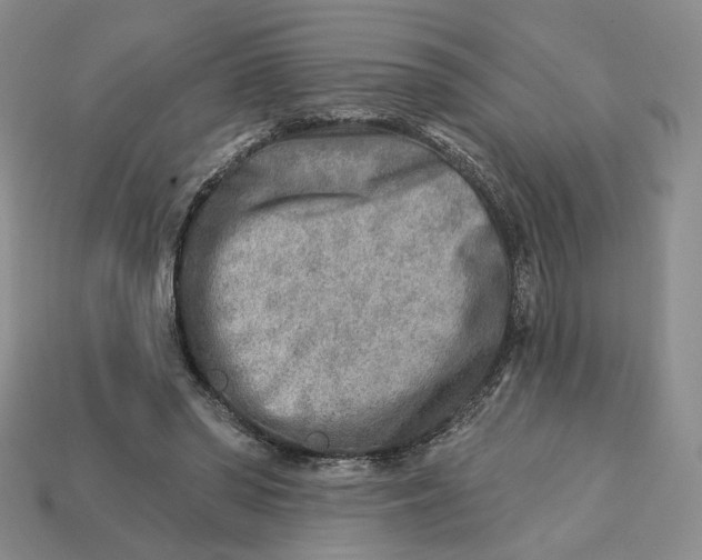X0000112760398200909101534