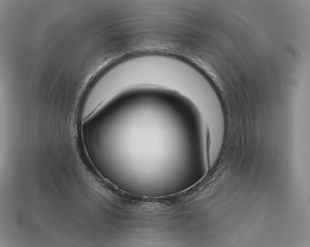 X0000112760399200909101534