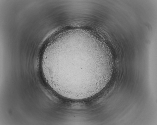 X0000112760400200909101534