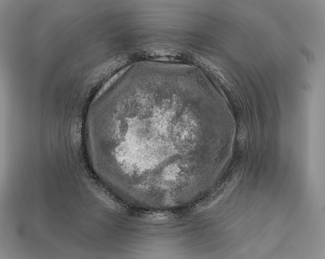 X0000112760402200909101534