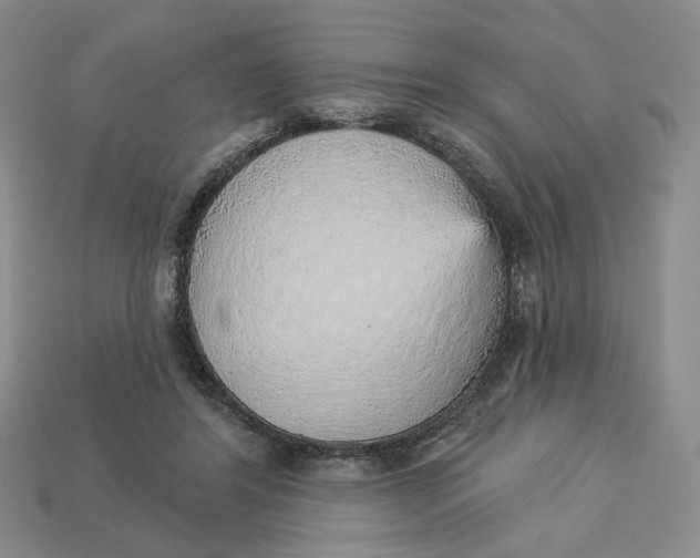 X0000112760404200909101534