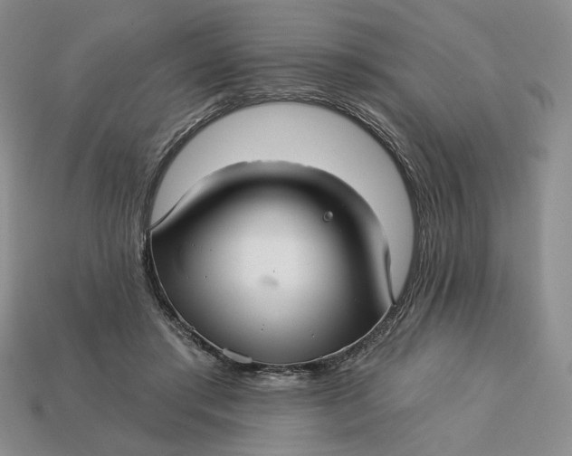 X0000112760405200909101534