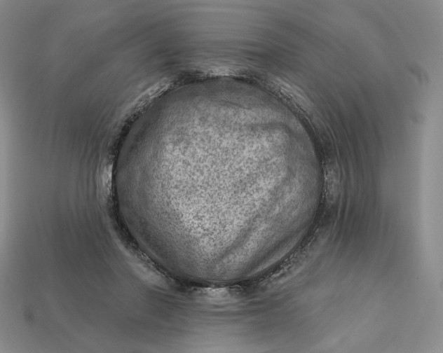 X0000112760406200909101534