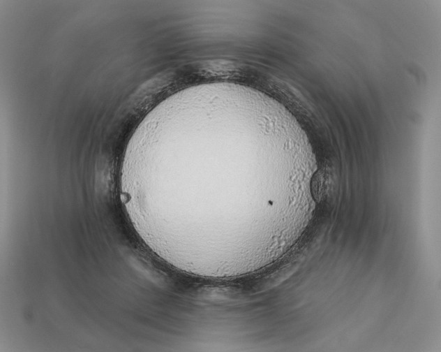 X0000112760408200909101534
