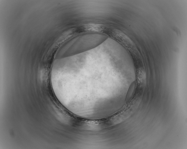 X0000112760409200909101534