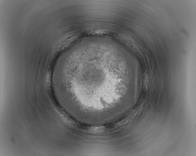 X0000112760410200909101534