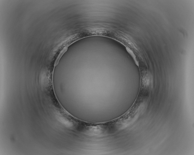 X0000112760411200909101534