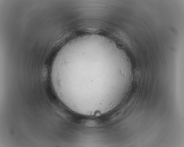 X0000112760412200909101534