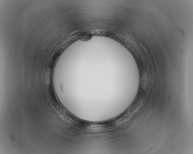 X0000112760413200909101534