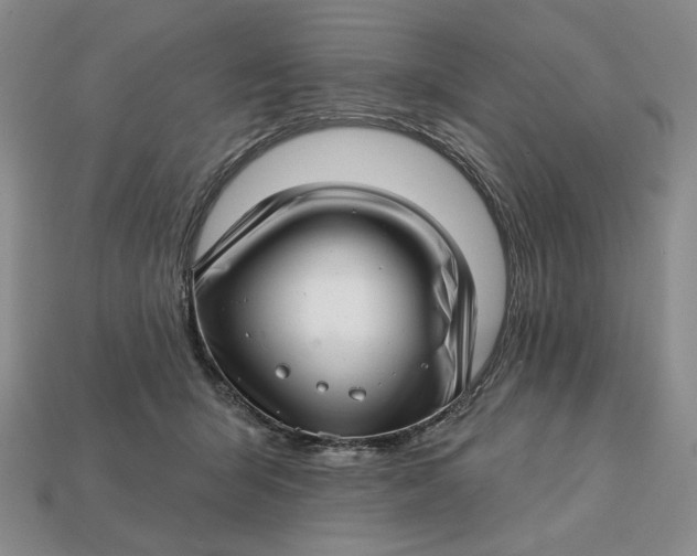 X0000112760415200909101534
