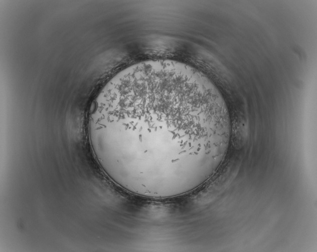 X0000112760416200909101534