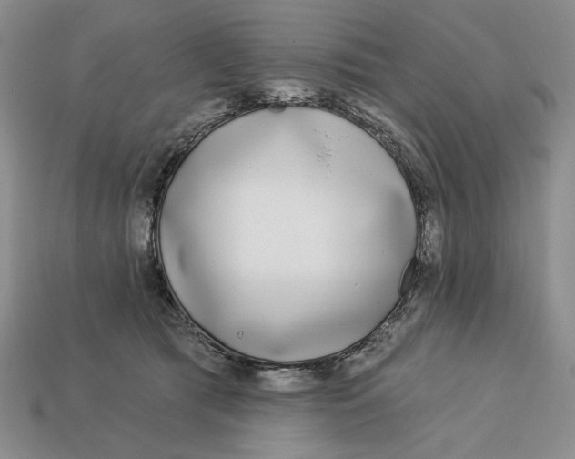 X0000112760417200909101534