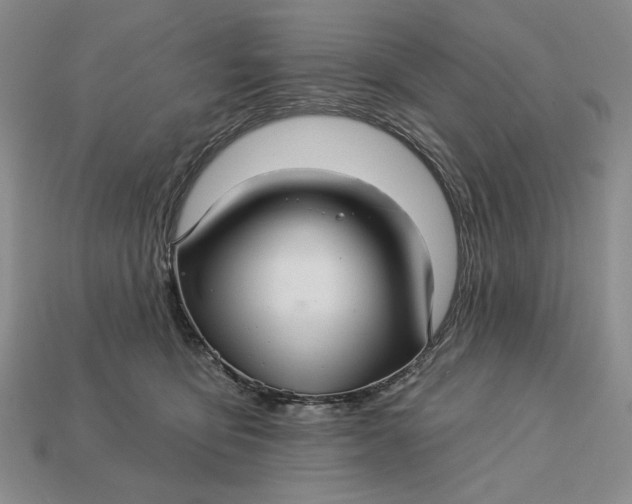 X0000112760419200909101534