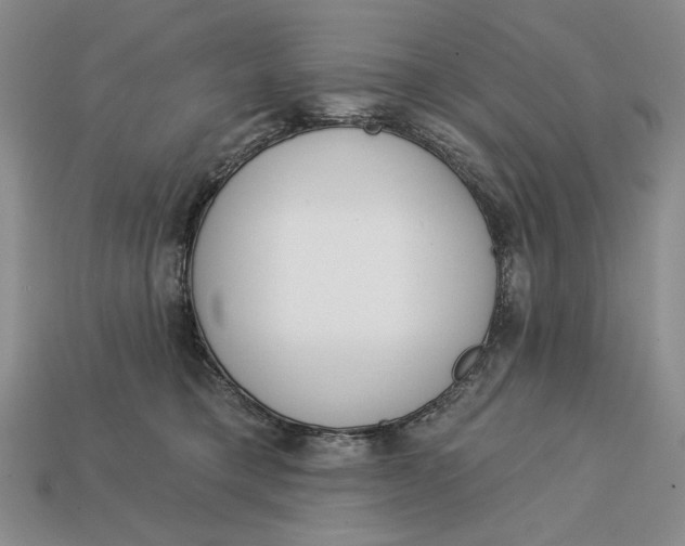 X0000112760421200909101534