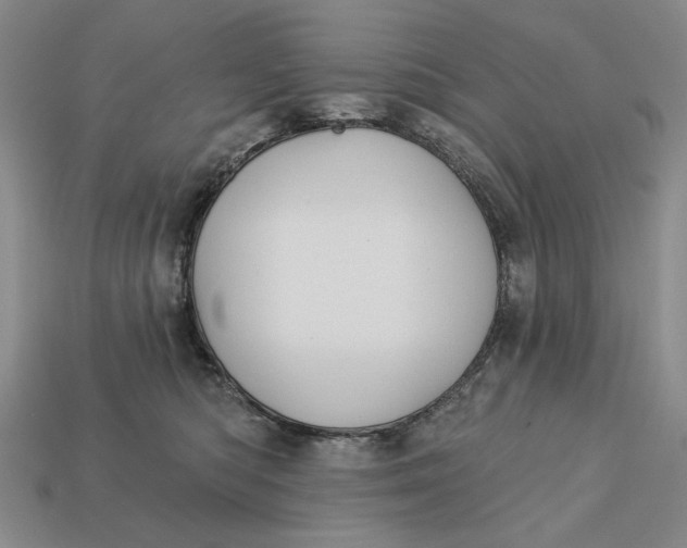 X0000112760422200909101534