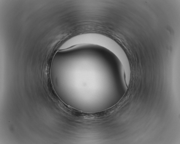 X0000112760423200909101534