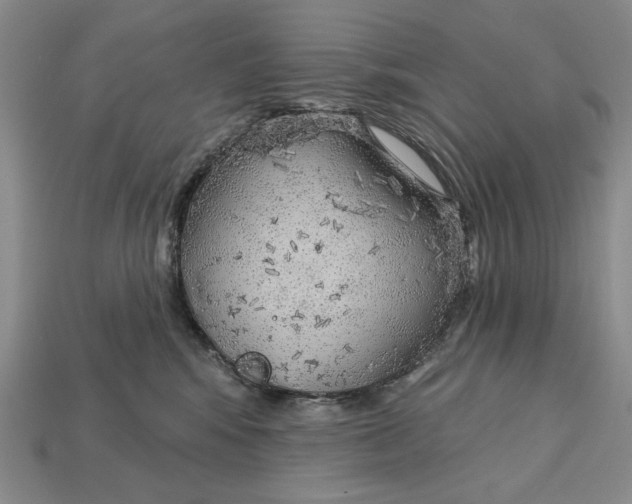 X0000112760424200909101534