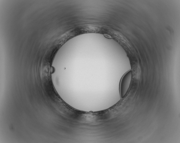 X0000112760425200909101534