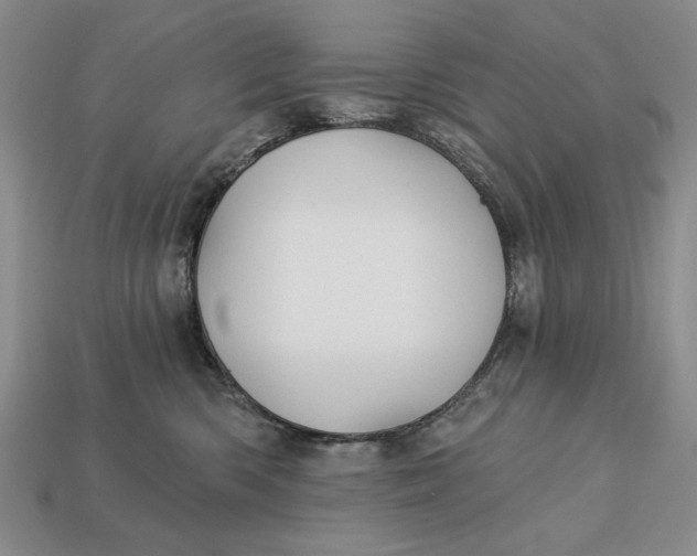 X0000112760426200909101534
