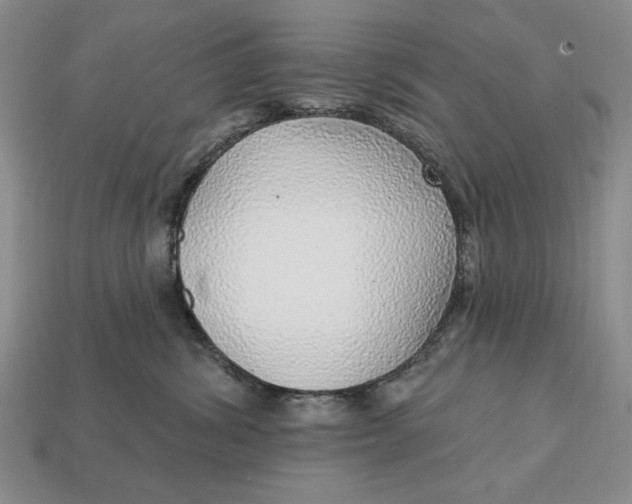X0000112760428200909101534