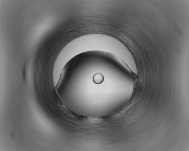 X0000112760429200909101534