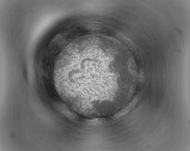 X0000112760430200909101534