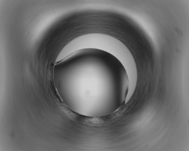 X0000112760431200909101534